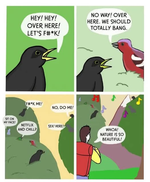 1747093257421.png