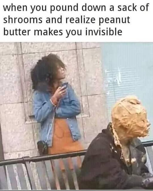 1748385867544.png