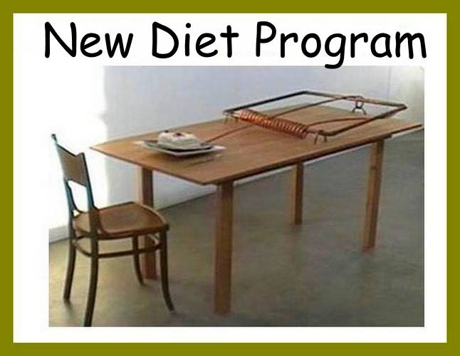 Diet Program.jpg