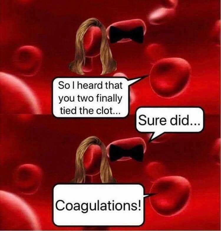 FB_IMG_1746977095422.jpg