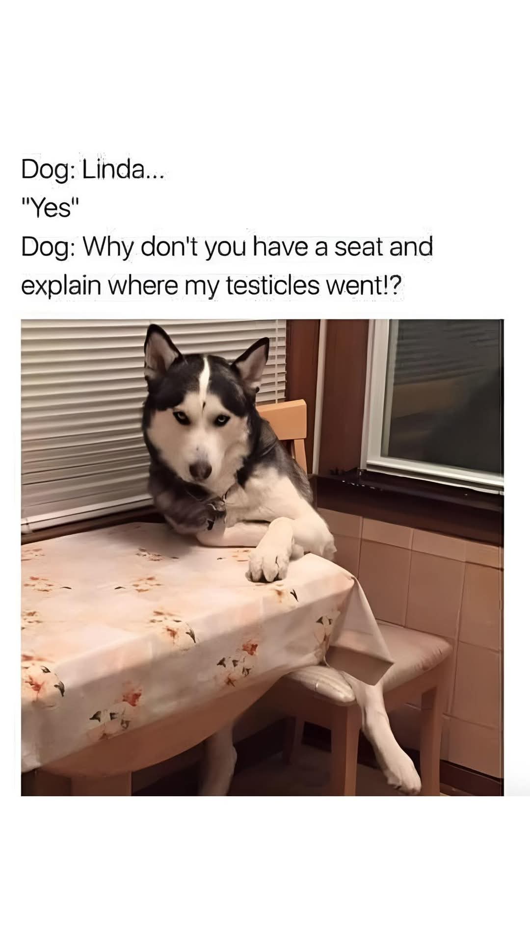 FB_IMG_1748076183528.jpg