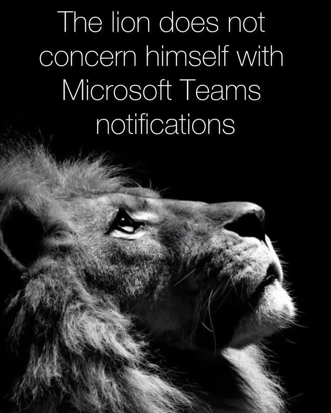 FB_IMG_1748118851922.jpg