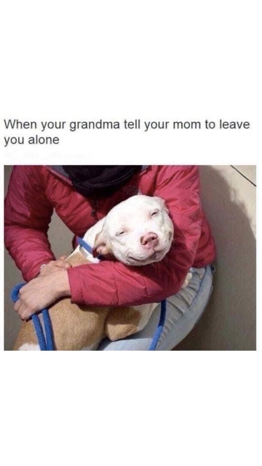 FB_IMG_1748163891548.jpg