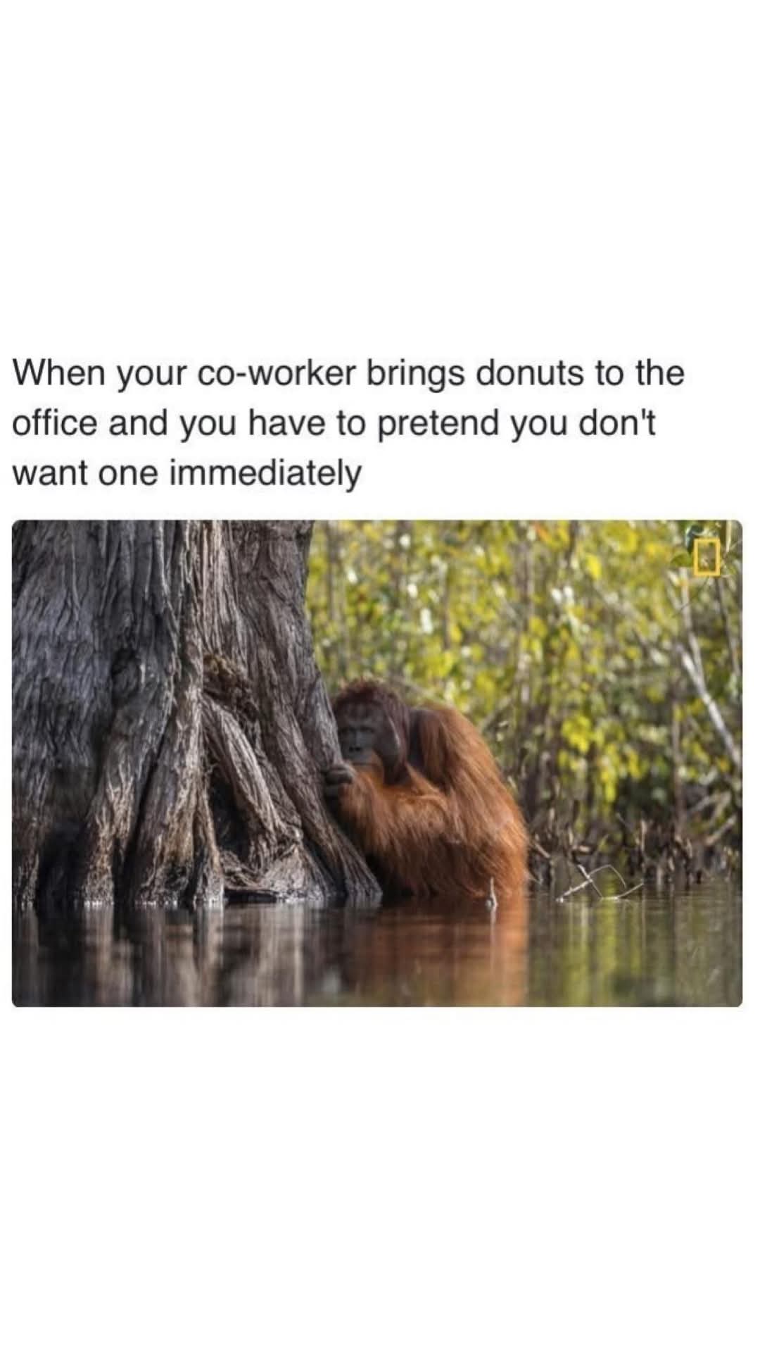 FB_IMG_1748264309332.jpg