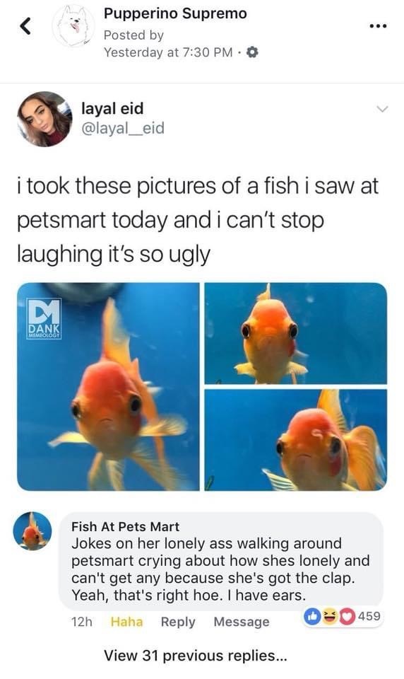 goldfish.jpeg