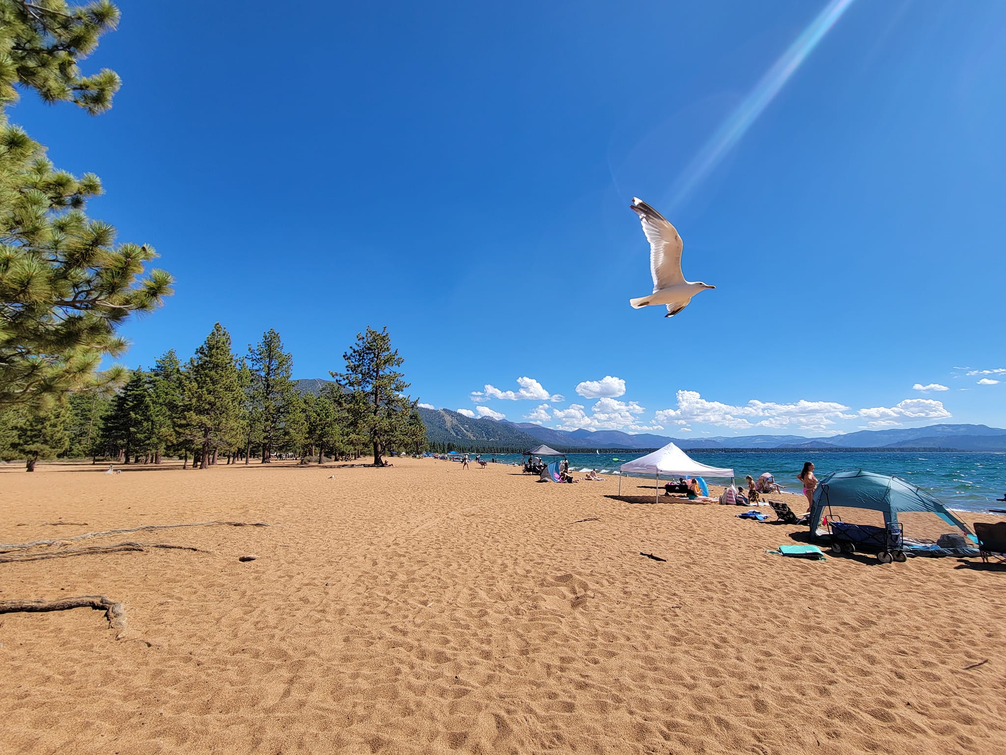 Lake Tahoe 3.jpg