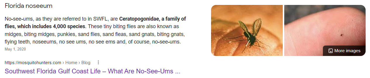 noseeums.PNG