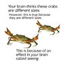 FB_IMG_1748972892486.jpg