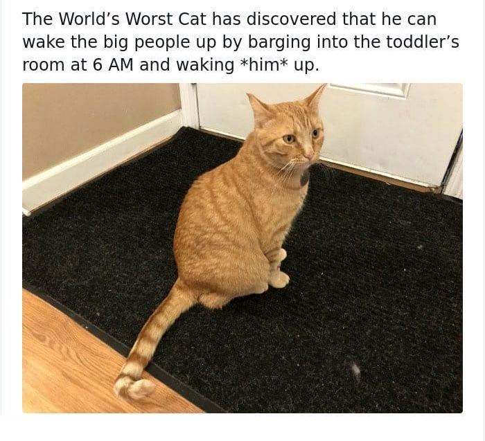 1452387451126065.jpg