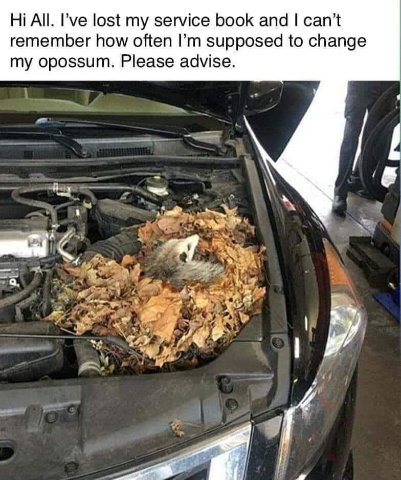 1731695821483.png