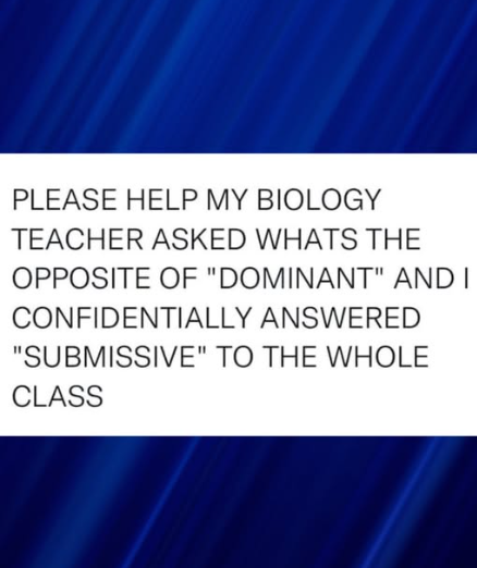 1745872462665.png