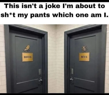 1762186434001.png