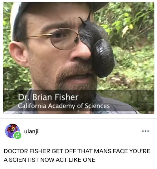 1781581017095.png