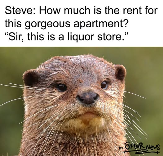 1783178642526.png