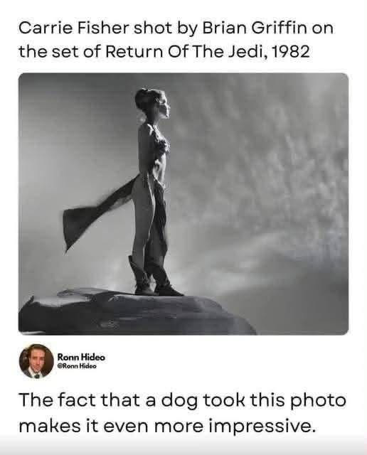 1785174595997.png