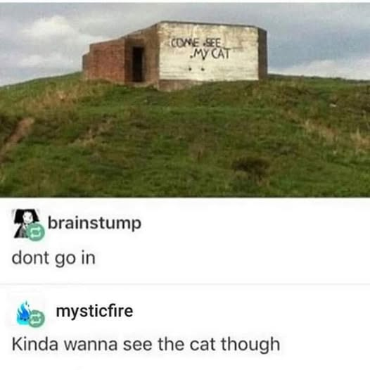 1786500835540.png
