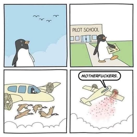 1791511707138.png
