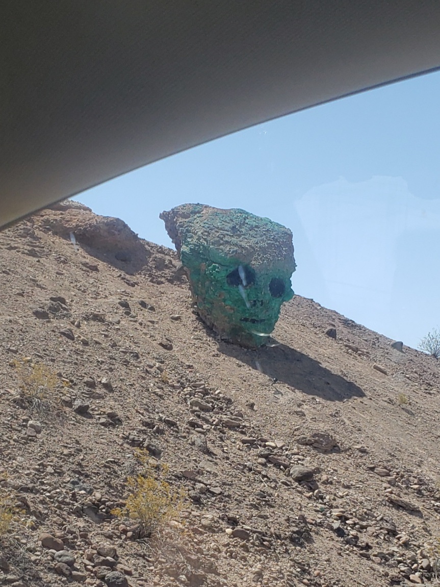 20230725_071222.jpg