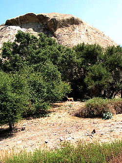 250px-Eaglerock.jpg