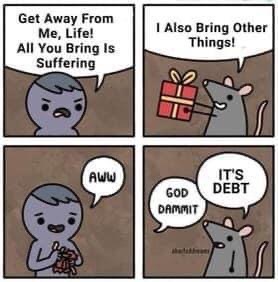 65DE8091-7B64-47B7-B383-B105E1EF6CDA.jpeg