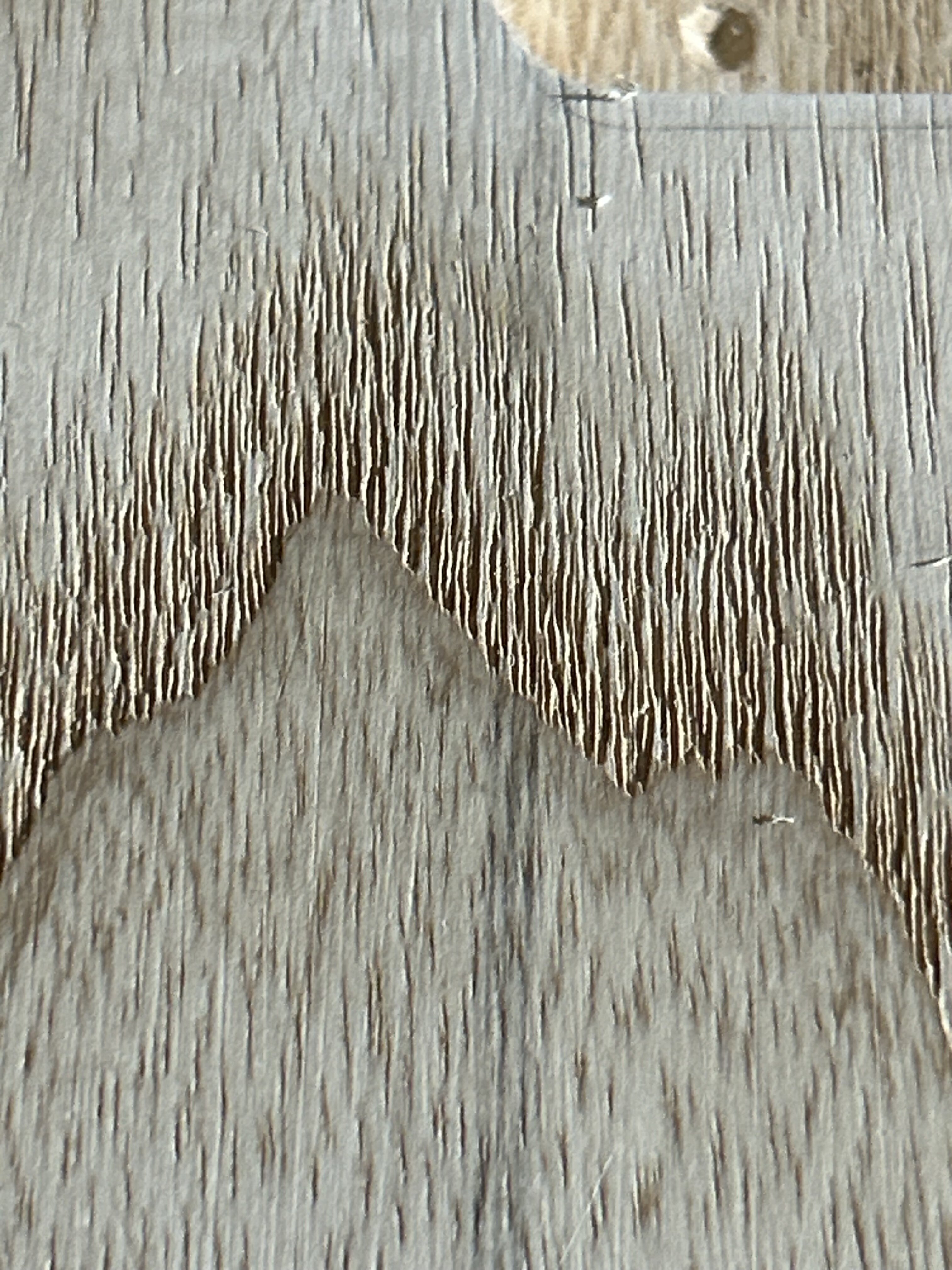 71211069957__3D5A2CF1-9980-4502-829B-B3400FD3AF25.jpeg