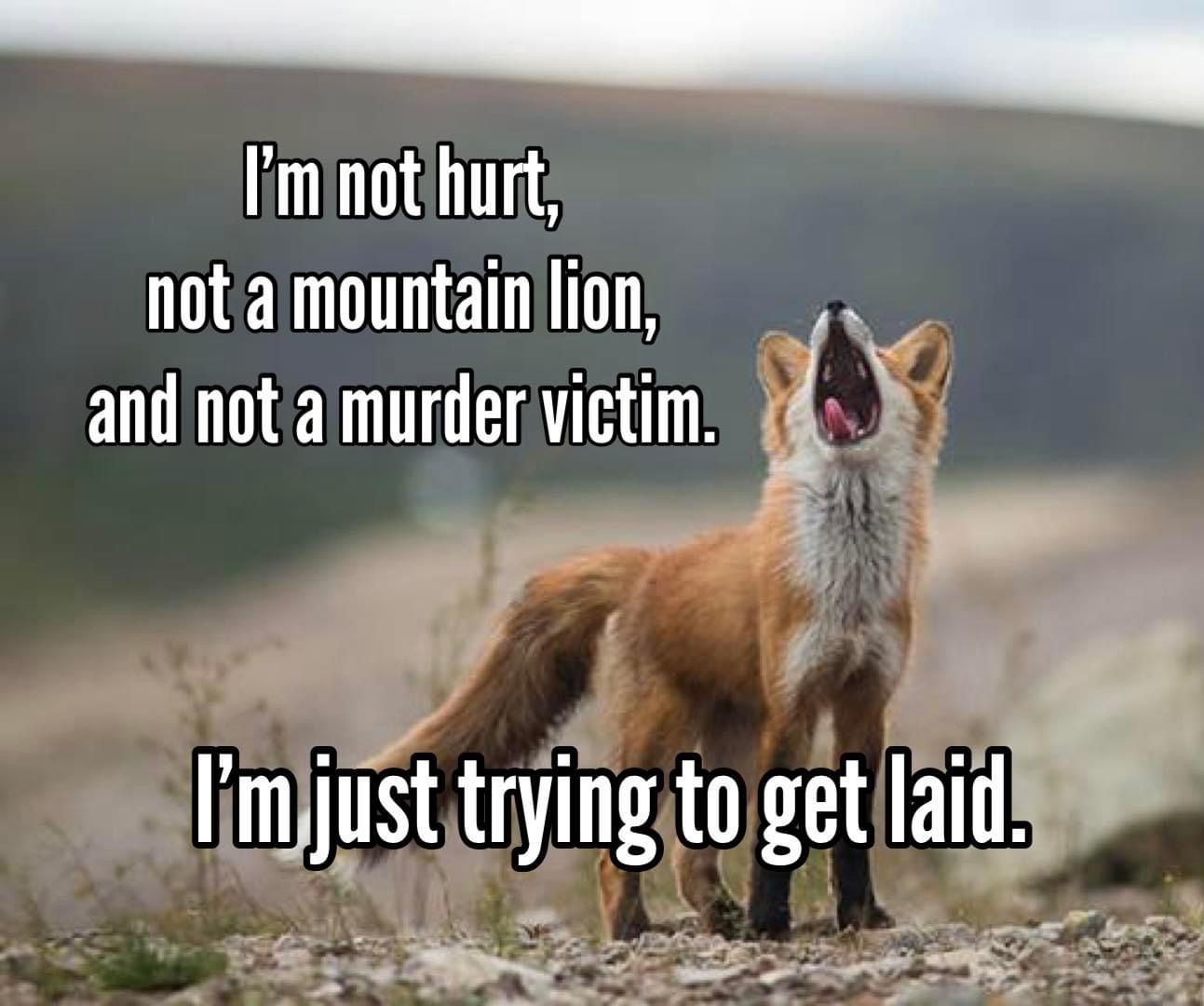 876F2BC3-7670-4B35-AA9A-8F7F678907C5.jpeg