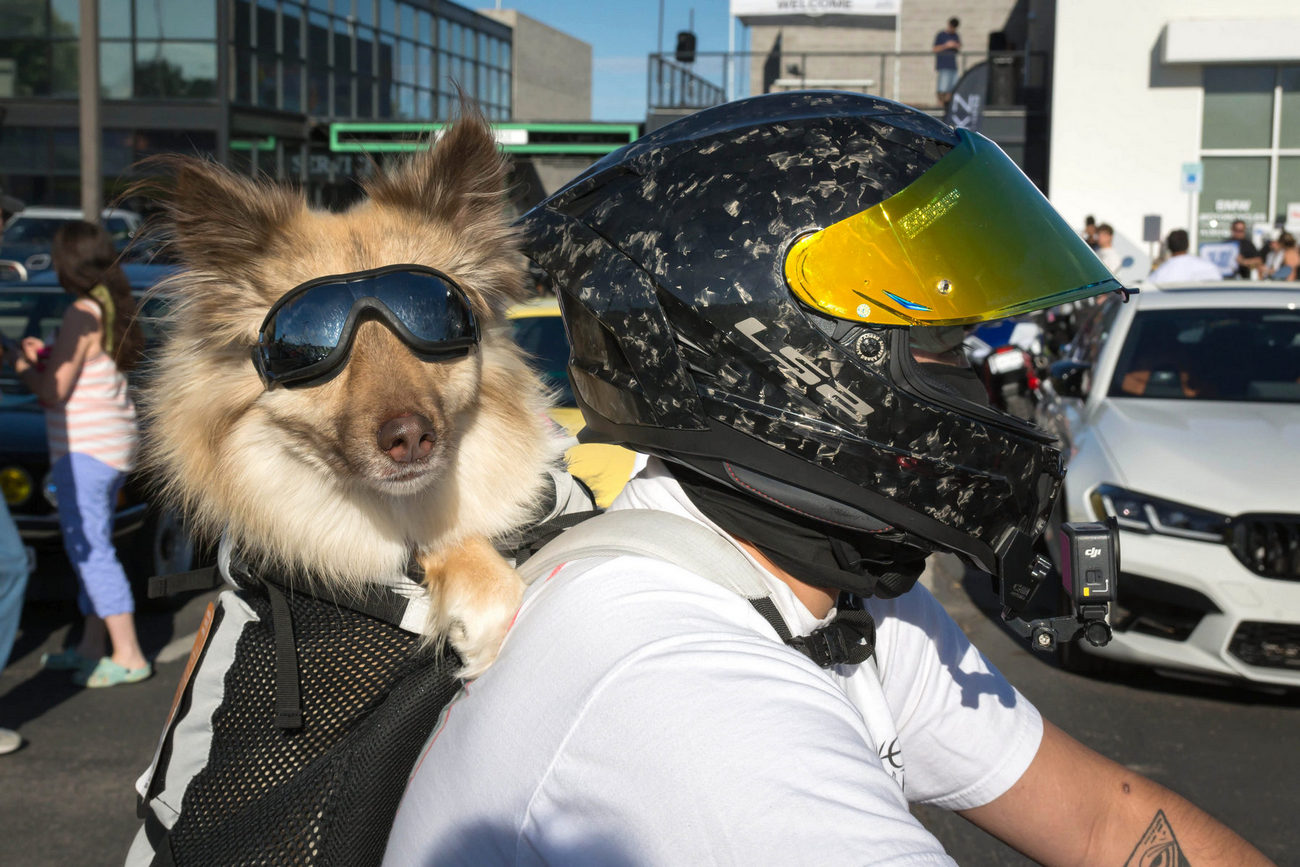 _DSC8184.jpg
