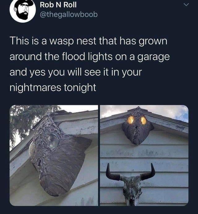 B0BE36C0-2B46-4A5C-8CAD-67750584AF03.jpeg