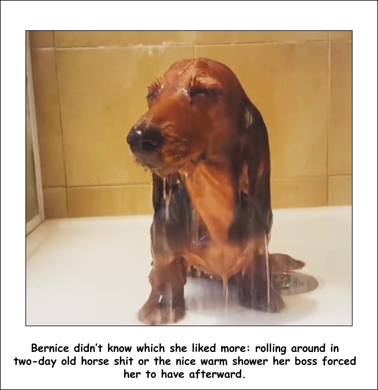 bernice.jpg