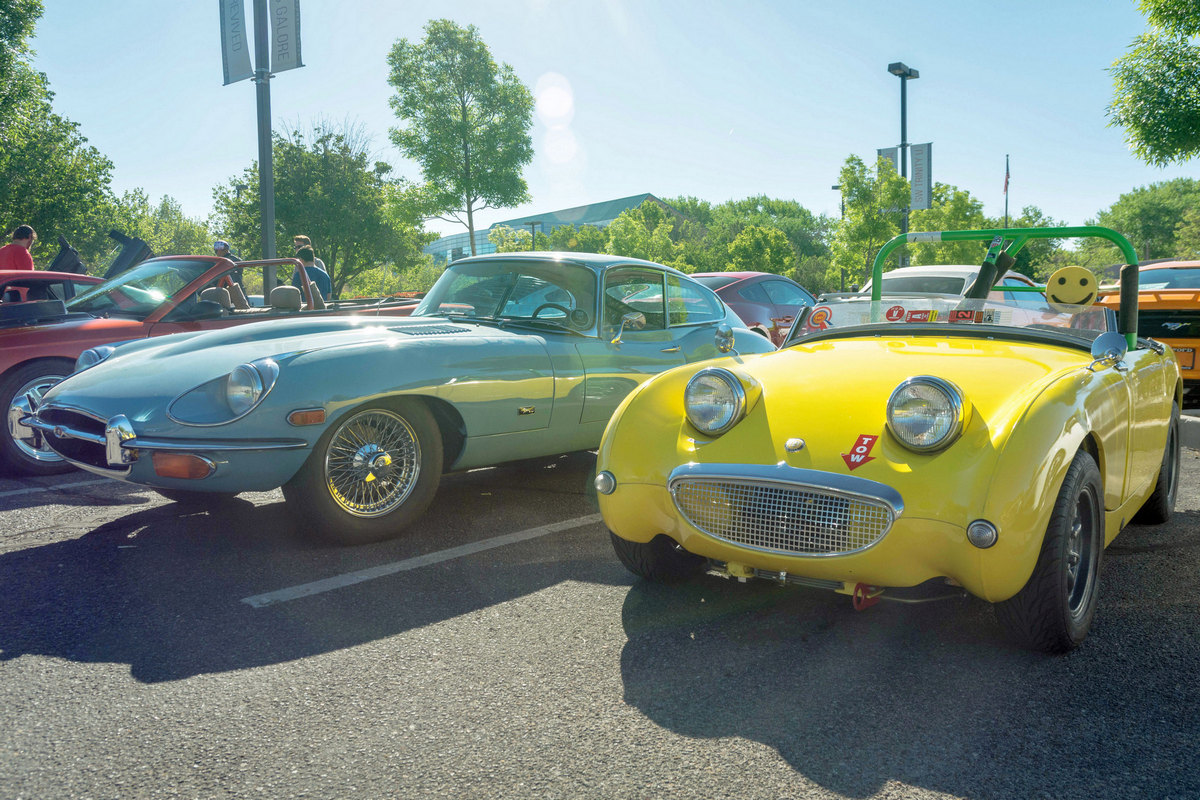 DSC_0079.jpg