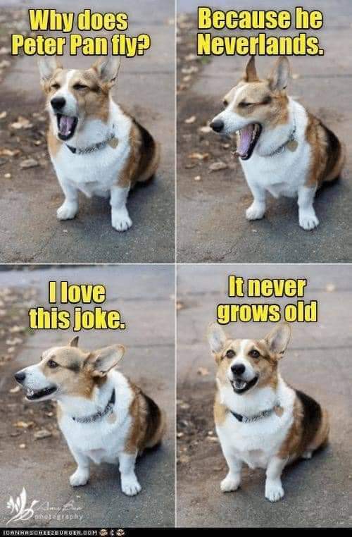 FB_IMG_1606444542527.jpg