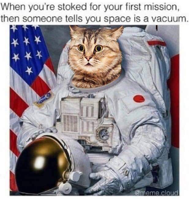 FB_IMG_1657324197110.jpg