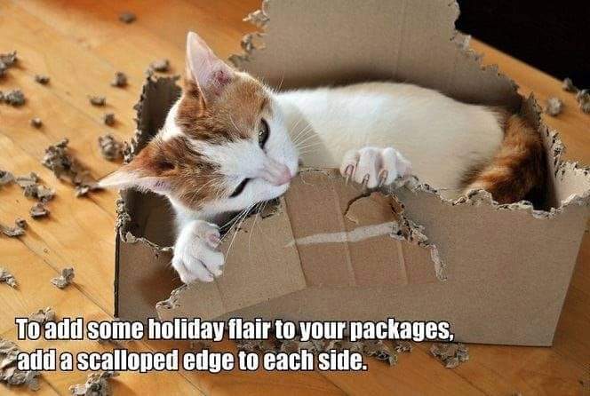FB_IMG_1670781847123.jpg