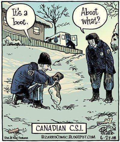 FB_IMG_1671477581319.jpg