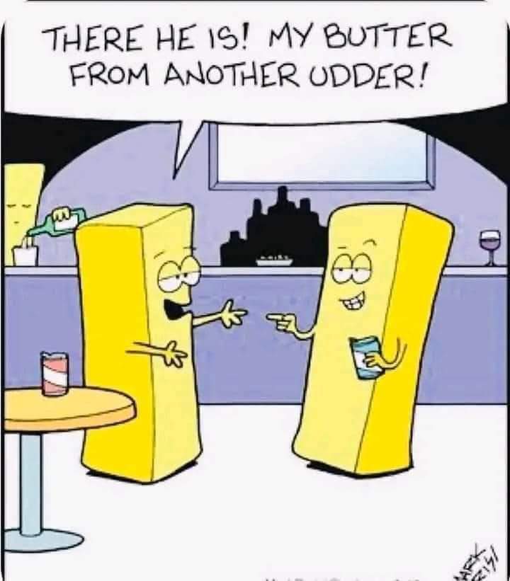 FB_IMG_1674497097687.jpg