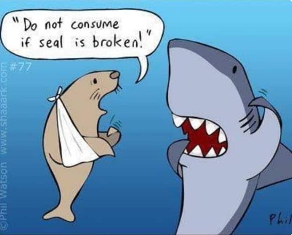FB_IMG_1674587077940.jpg