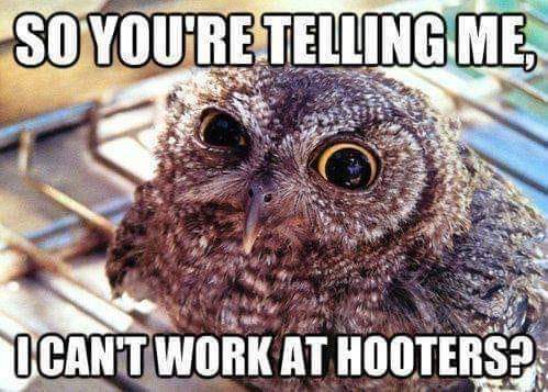 FB_IMG_1695576245954.jpg