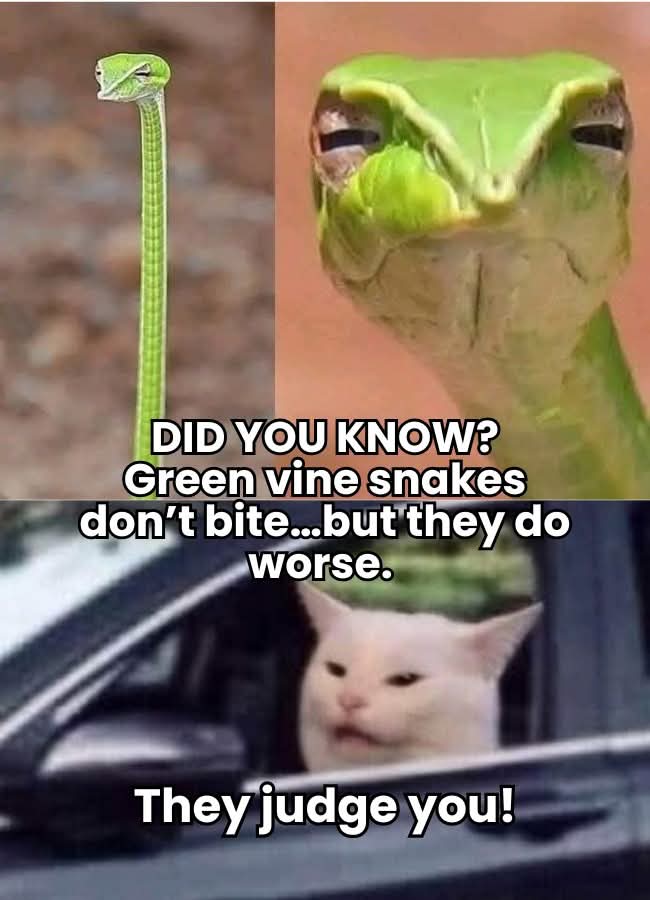 FB_IMG_1774628430426.jpg