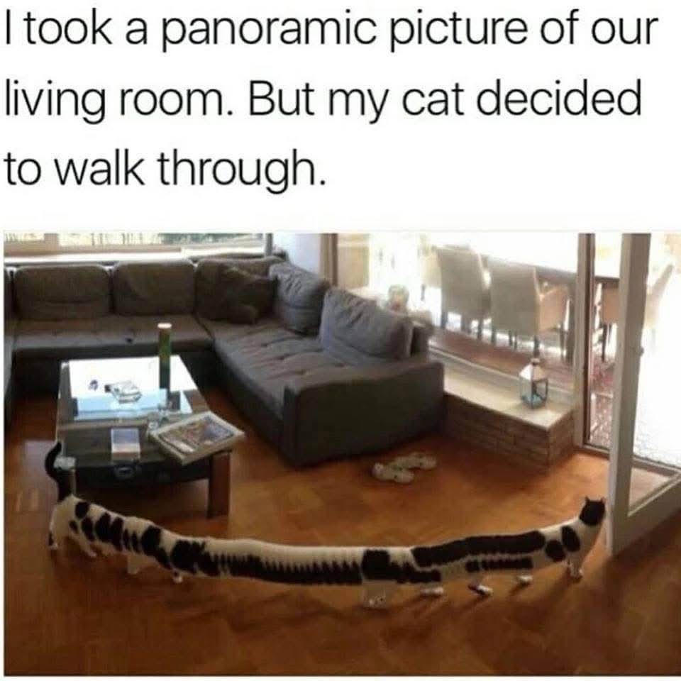 FB_IMG_1781938542891.jpg