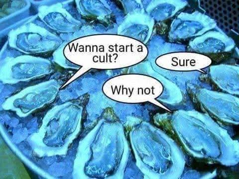 FB_IMG_1782648090428.jpg