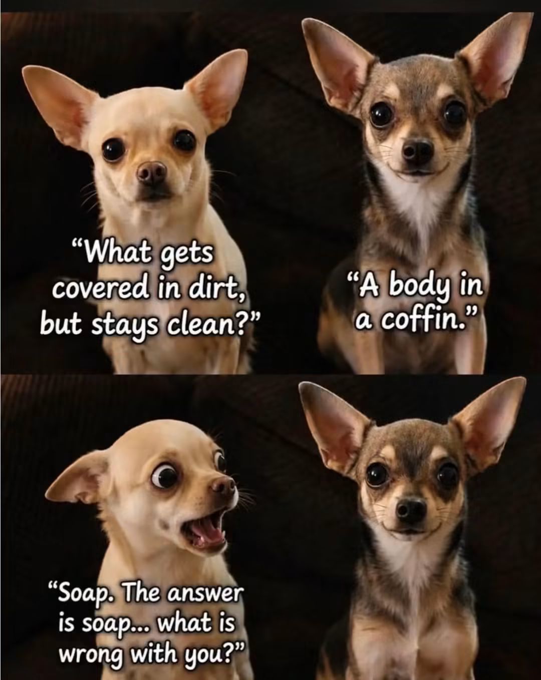 FB_IMG_1790642798501.jpg