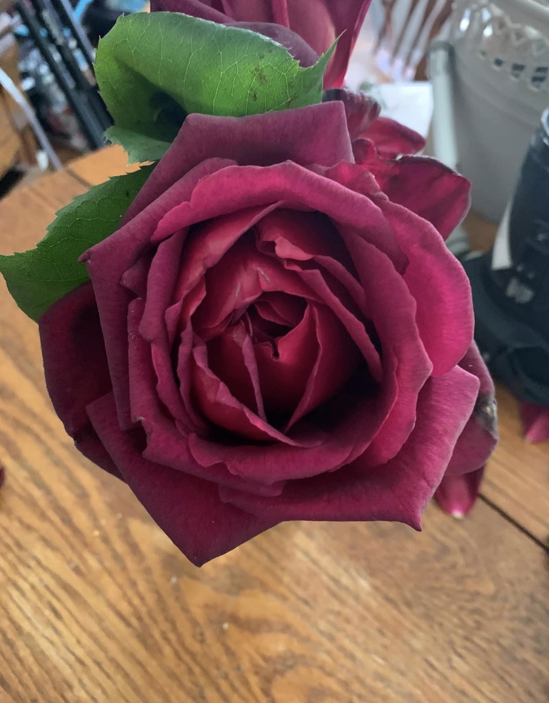 IMG_0530.jpeg