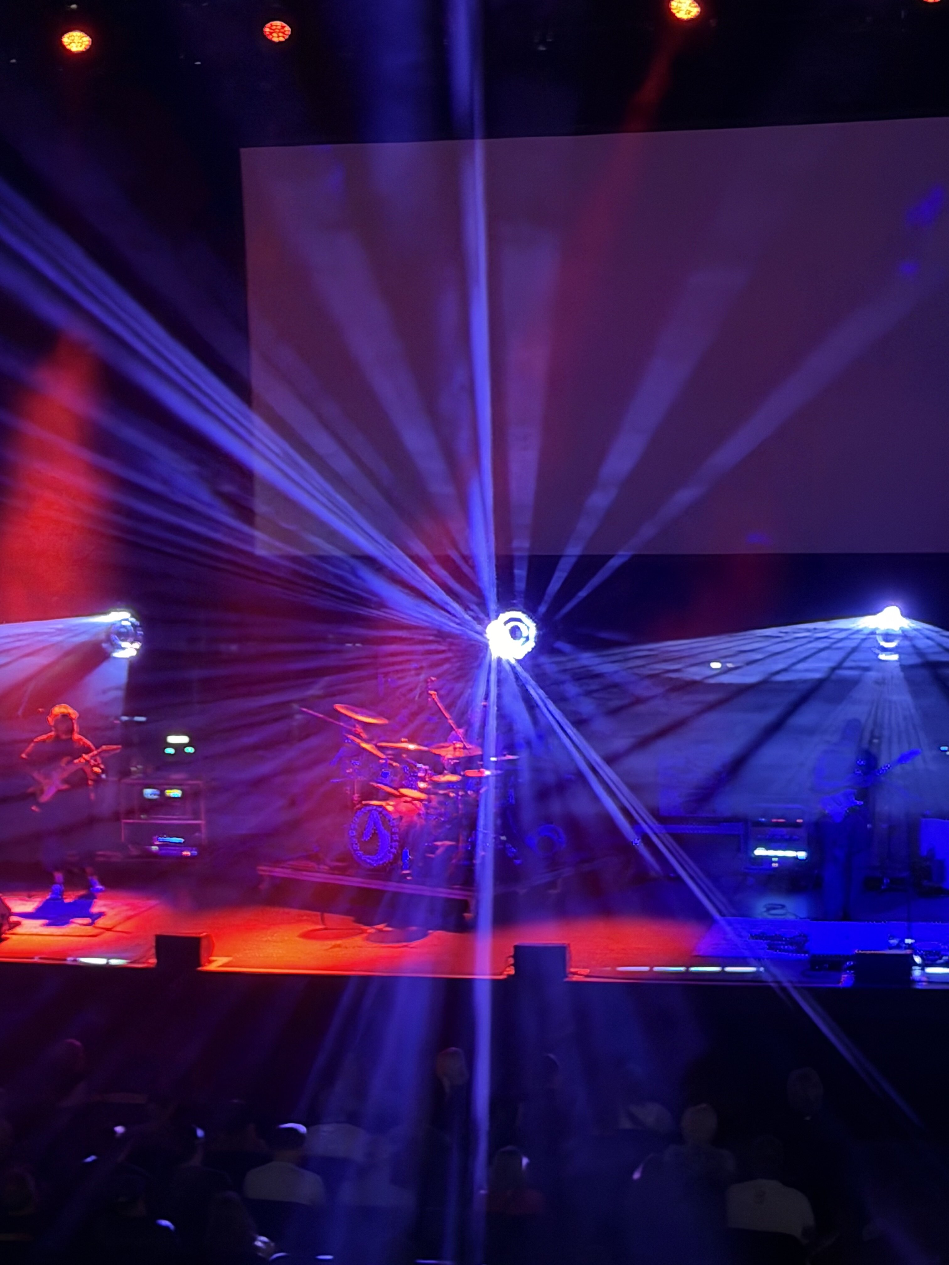 IMG_2387.jpeg
