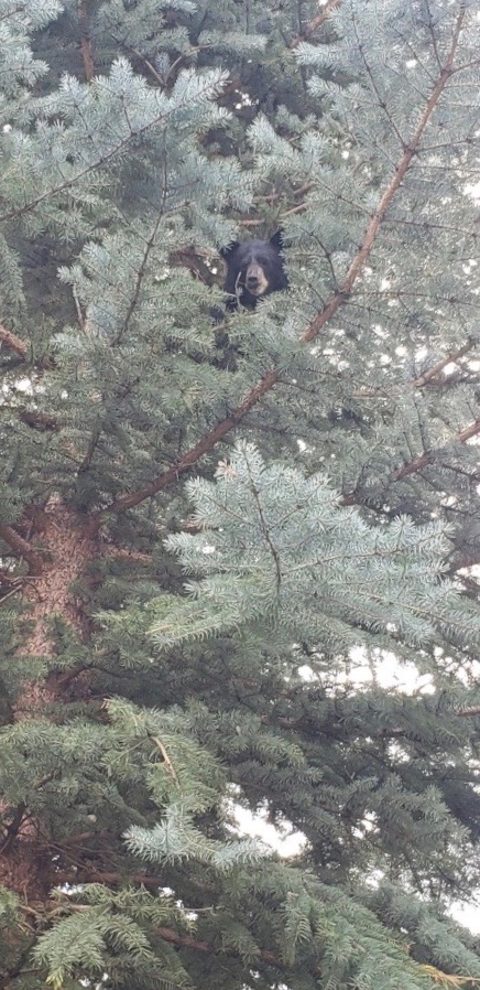 IMG_2586.jpeg