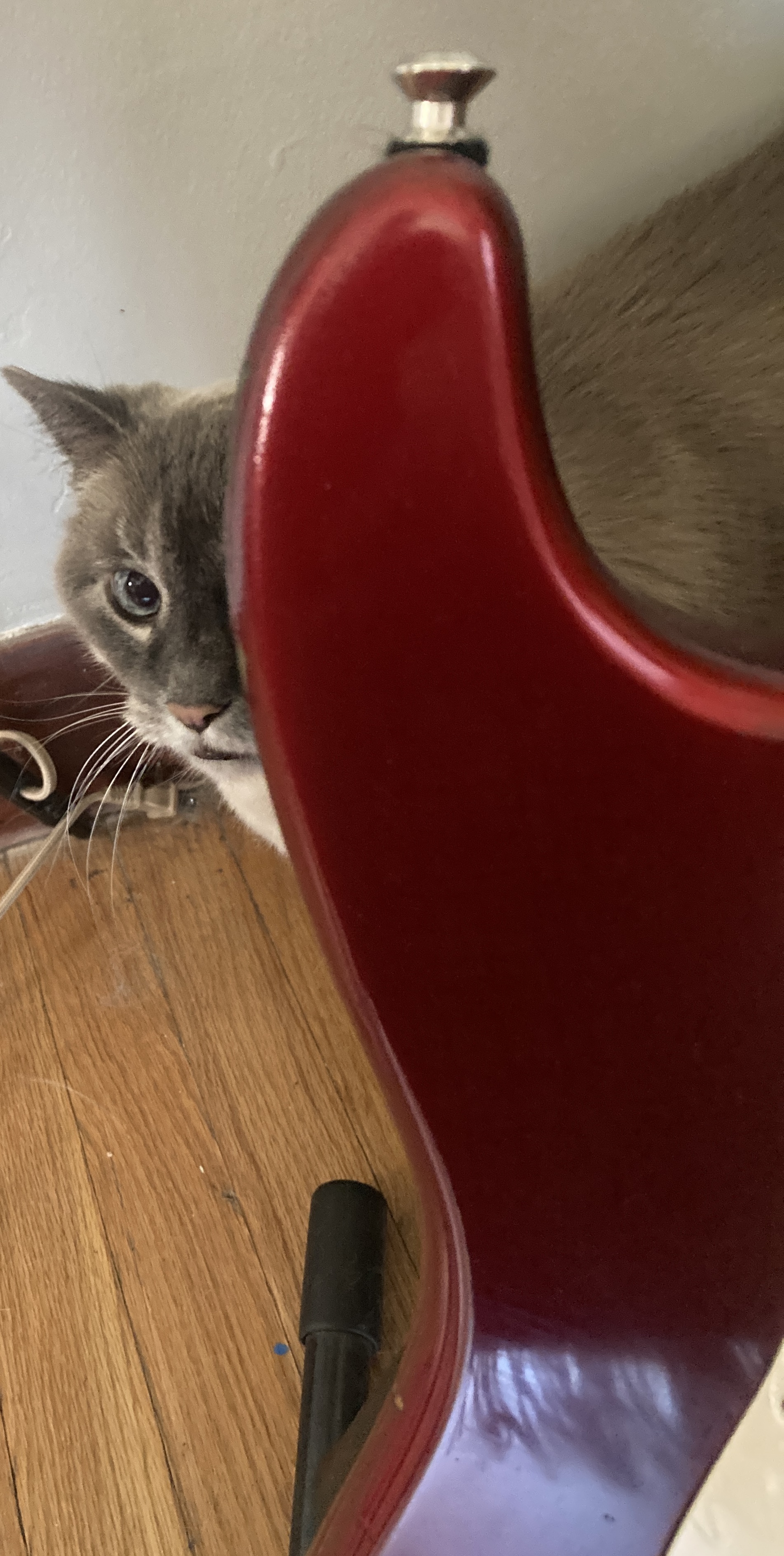 IMG_3289.jpeg