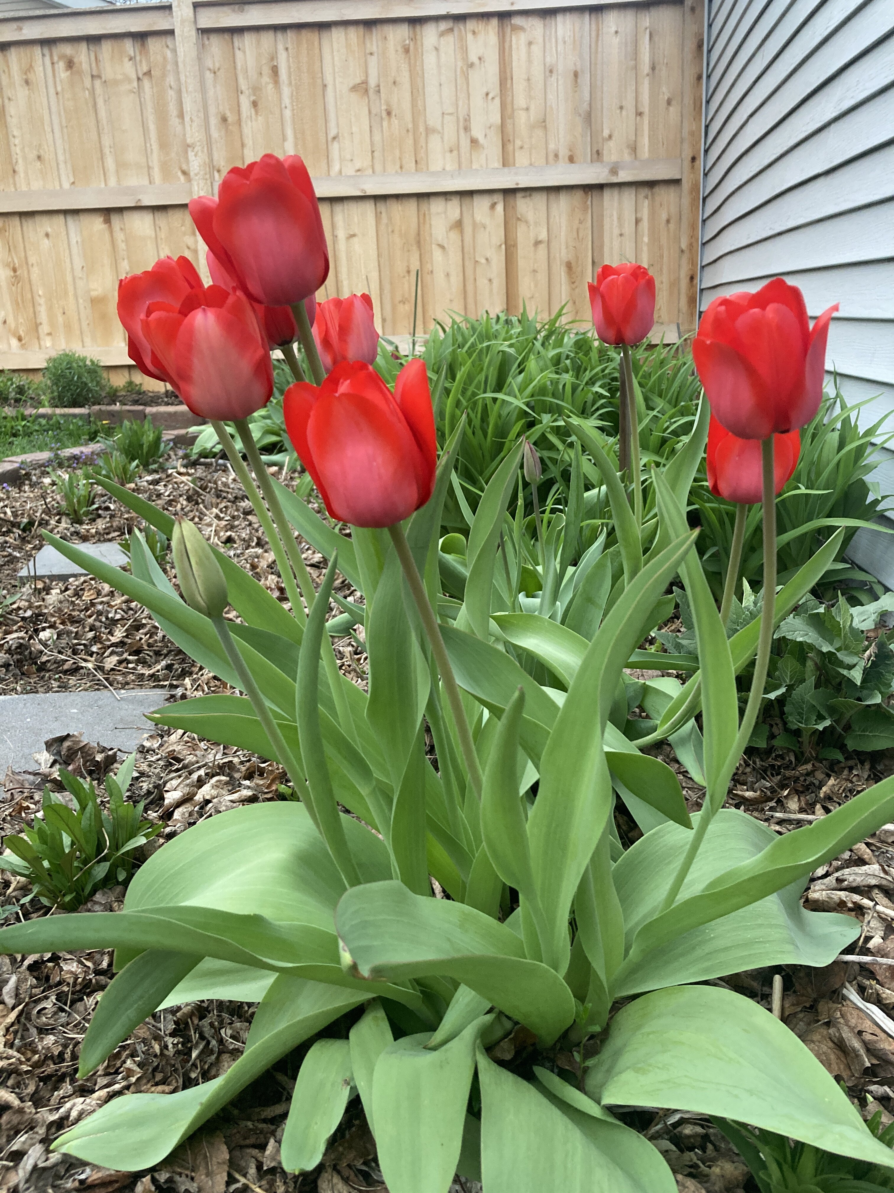 IMG_5119.jpeg
