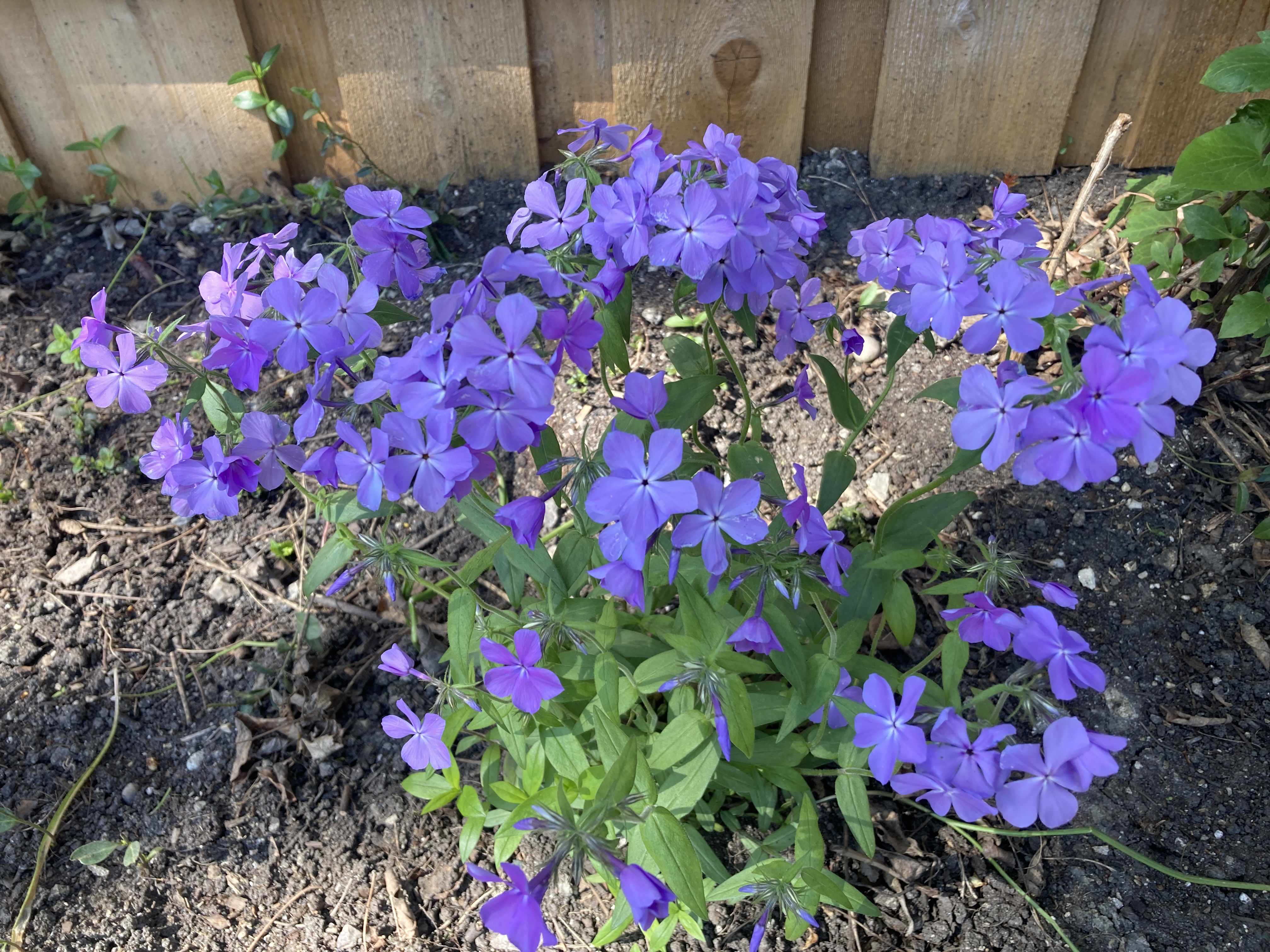 IMG_5199.jpeg