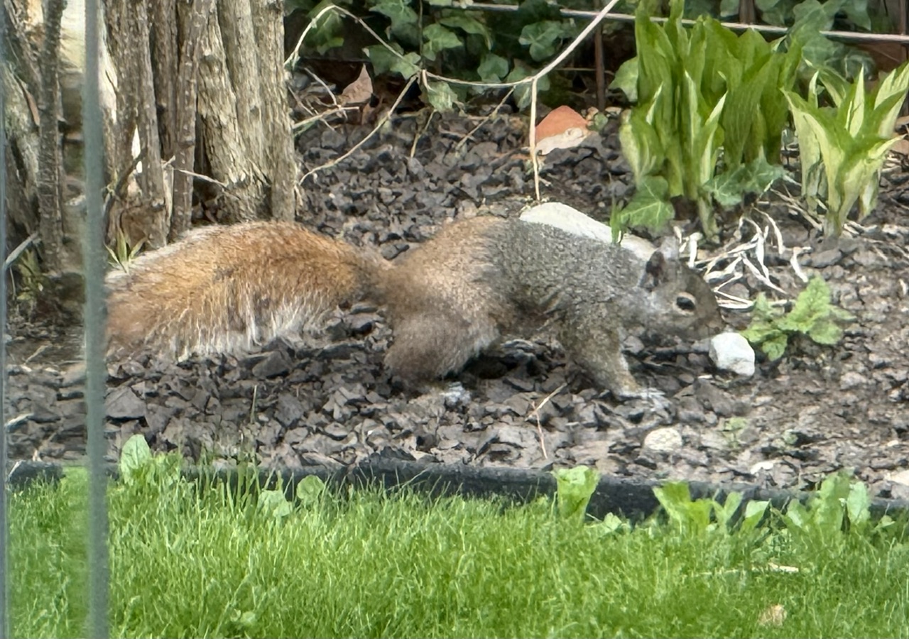 IMG_7646.jpeg