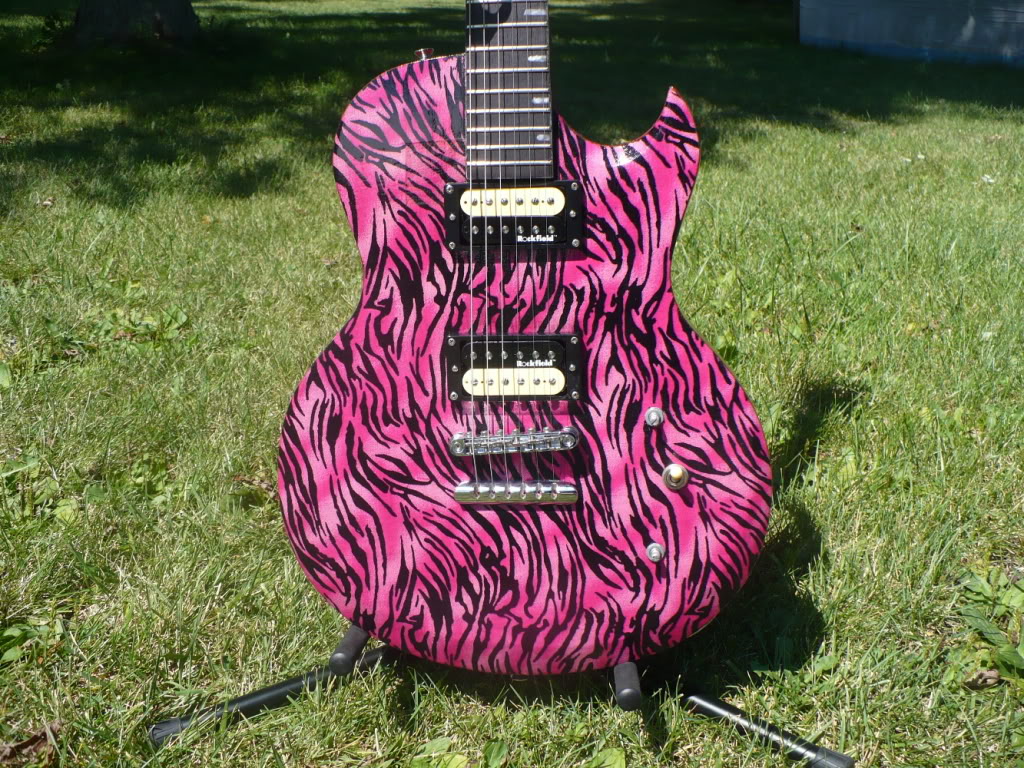 pink zebra guitar.jpg