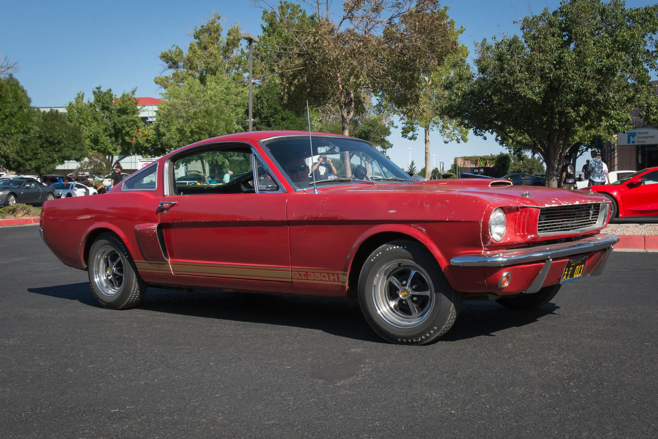 s_DSC8034.jpg
